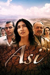 Аси 65 серия